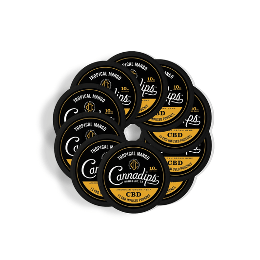 Cannadips 10-pack CBD snus tins in Tropical Mango flavor, featuring 10 mg CBD per pouch, perfect for tobacco-free enjoyment.