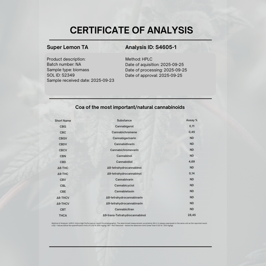 Super Lemon Haze 28% THCA | 5g