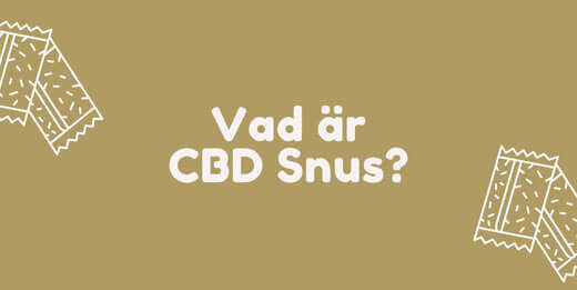 Vad är CBD Snus?