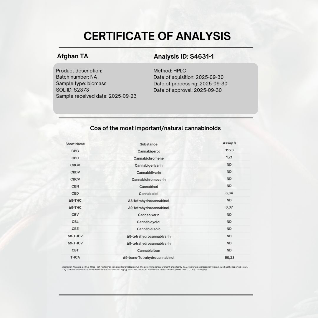 Afghan Hashish 50% THCA | 5g