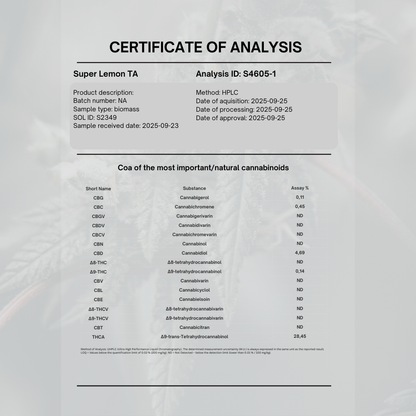 Super Lemon Haze 28% THCA | 5g
